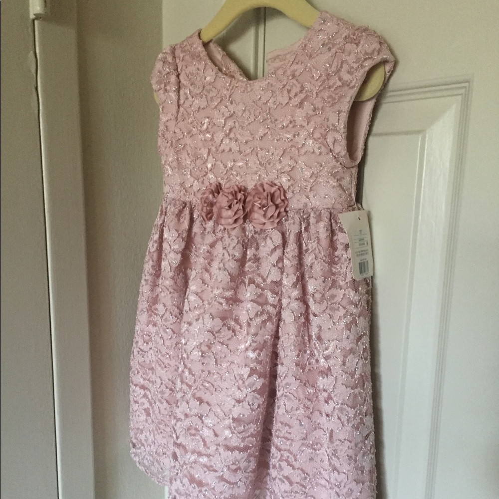 Mia and Mimi 3T Pink Lace Overlay Dress